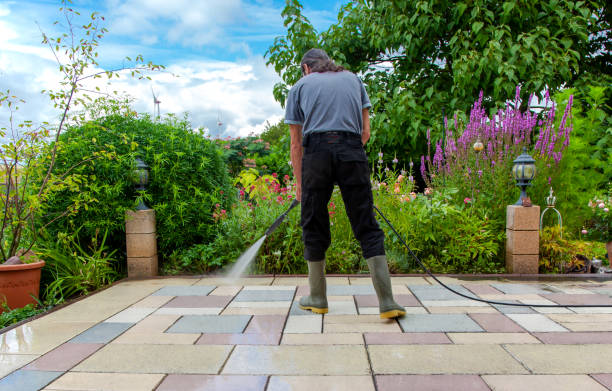 Best Sidewalk and Walkway Cleaning  in Palmer, TX